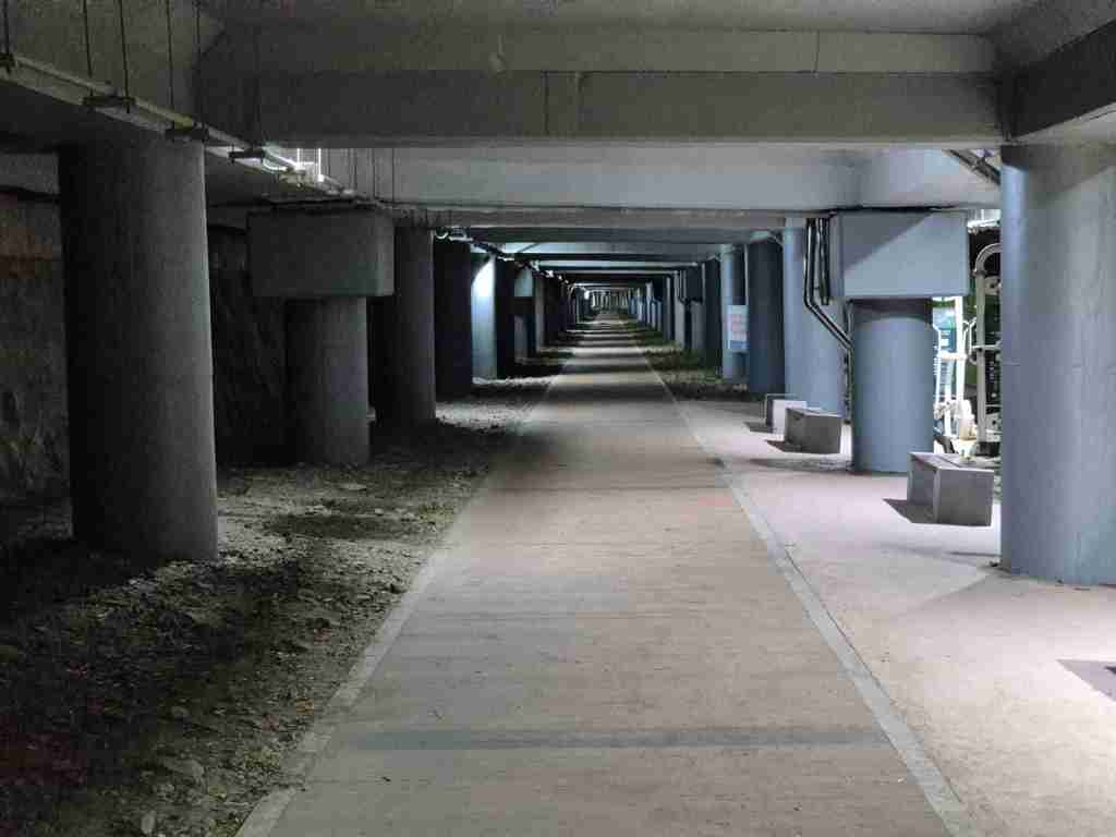 A quiet running track under a riverside road on a rainy night.